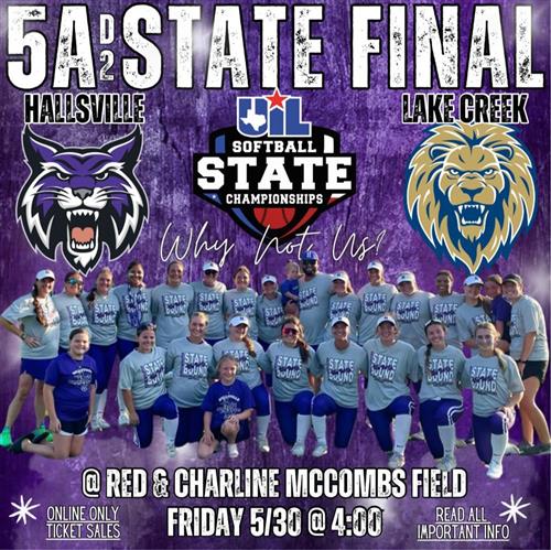  Ladycat Softball State